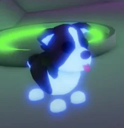 Neon Border Collie in game