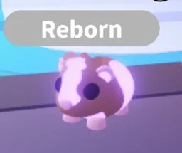 Neon Chocolate Dutch Guinea Pig in game