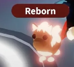 Neon Shetland Pony Dark Brown in game