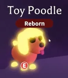 Neon Toy Poodle in game