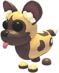 African Wild Dog