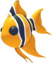 Angelfish