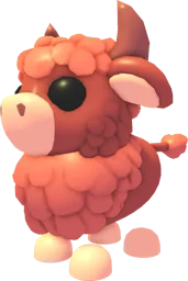 Angus Bull