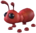 Ant