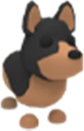 Australian Kelpie