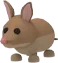 Bandicoot