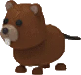 Beaver