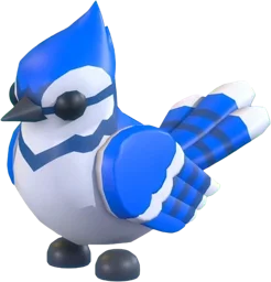 Blue Jay (Pet)