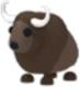 Buffalo