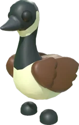 Canadian Goose