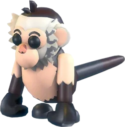 Capuchin Monkey