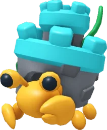 Castle Hermit Crab