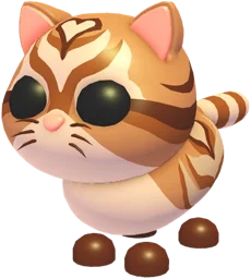 Catte