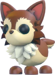 Chihuahua (Pet)