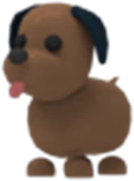 Chocolate Labrador