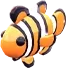 Clownfish