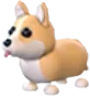 Corgi