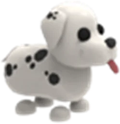 Dalmatian