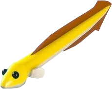 Eel
