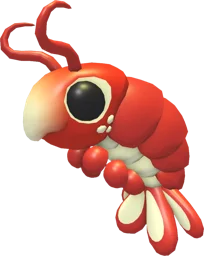 Emperor Shrimp