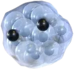 Frogspawn