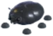 Giant Black Scarab
