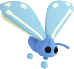 Glacier Moth