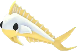 Gold Mahi Mahi