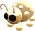 Golden Ladybug