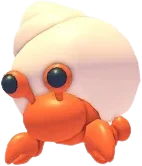 Hermit Crab