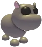 Hippo