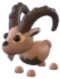 Ibex