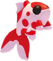 Koi Carp