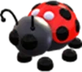 Ladybug