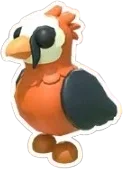 Lammergeier