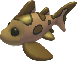Leopard Shark