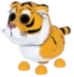 Lunar Tiger