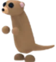 Meerkat