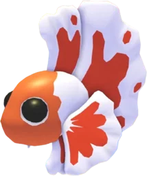 Orange Betta Fish