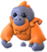 Orangutan
