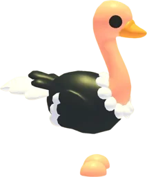 Ostrich