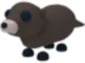 Otter