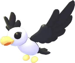 Pilot Gull
