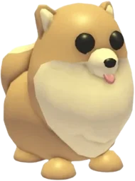 Pomeranian