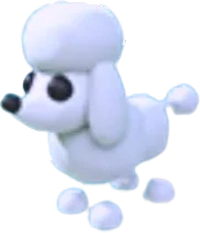 Poodle