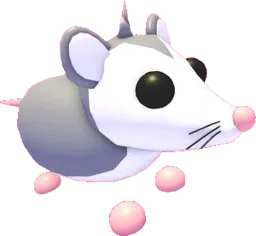 Possum