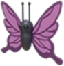 Purple Butterfly