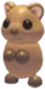 Quokka