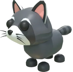 Raccoon