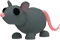 Rat